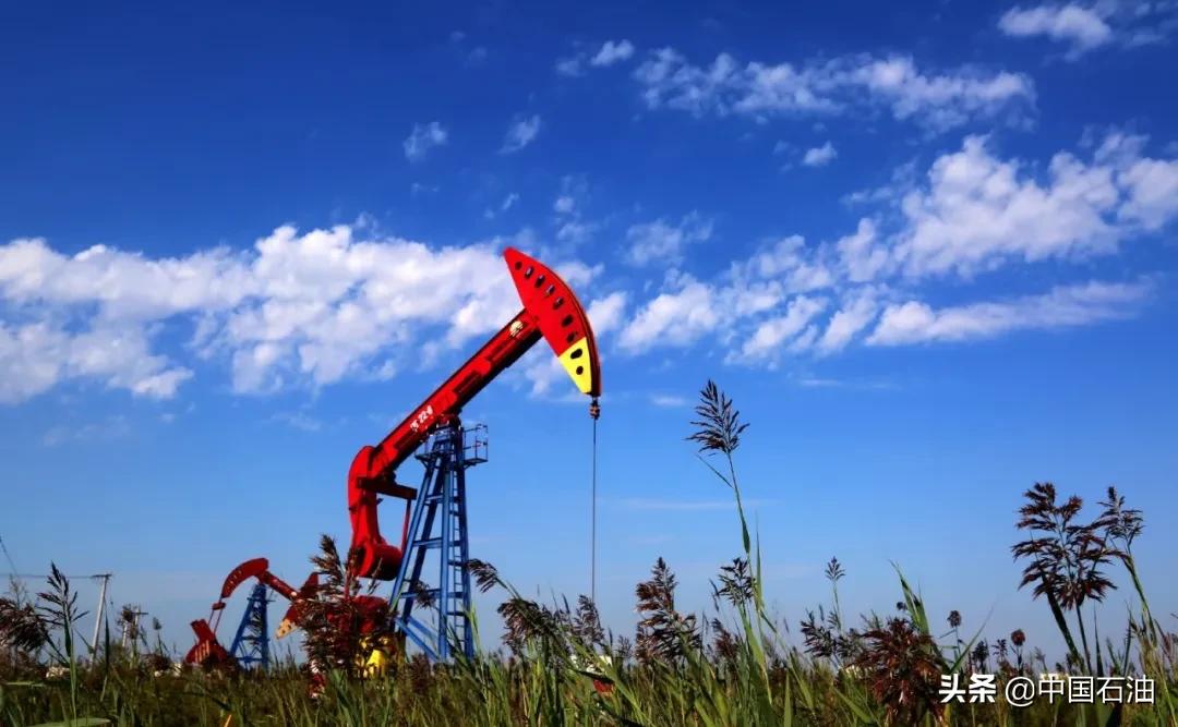 欧佩克跟美国,欧佩克和卡塔尔的区别