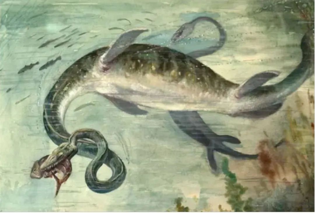 有图有真相有依据,有图有真相眼见为实