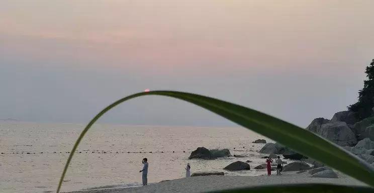 日照免费海滩推荐十一,十一去哪里玩人少风景还好