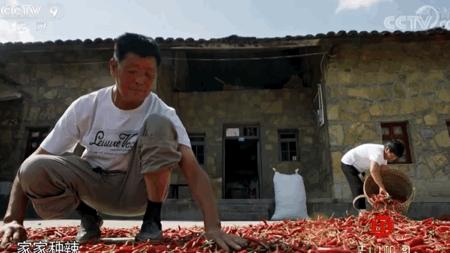 中国能吃辣的地方排行榜,中国不吃辣味省份