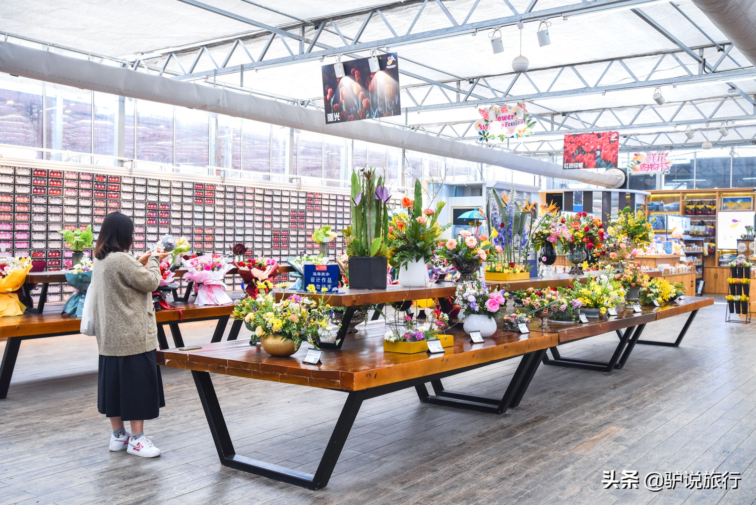 郁金香中国,中国郁金香第一花海