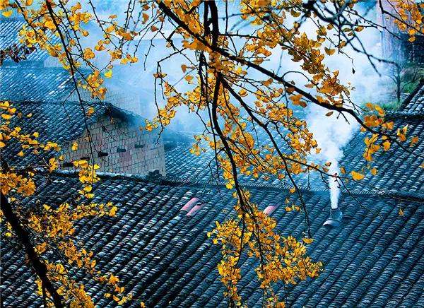 阜阳在线旅行社推荐,阜阳在线旅行社基础运营