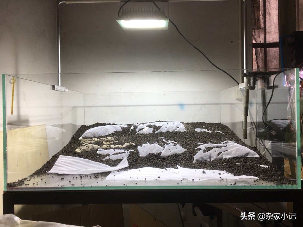 原生缸加热推荐,不用过滤器的原生缸