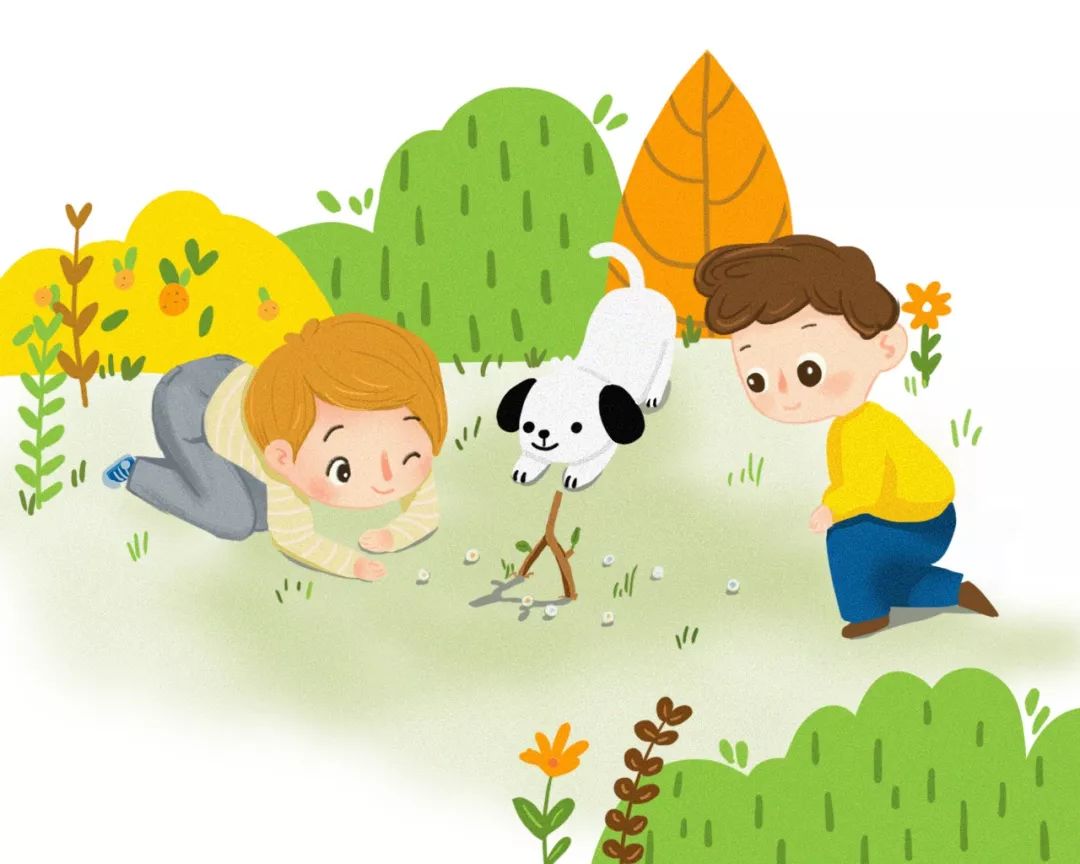 二年级老鹰捉小鸡的看图写话200字,二年级看图写话技巧及范文