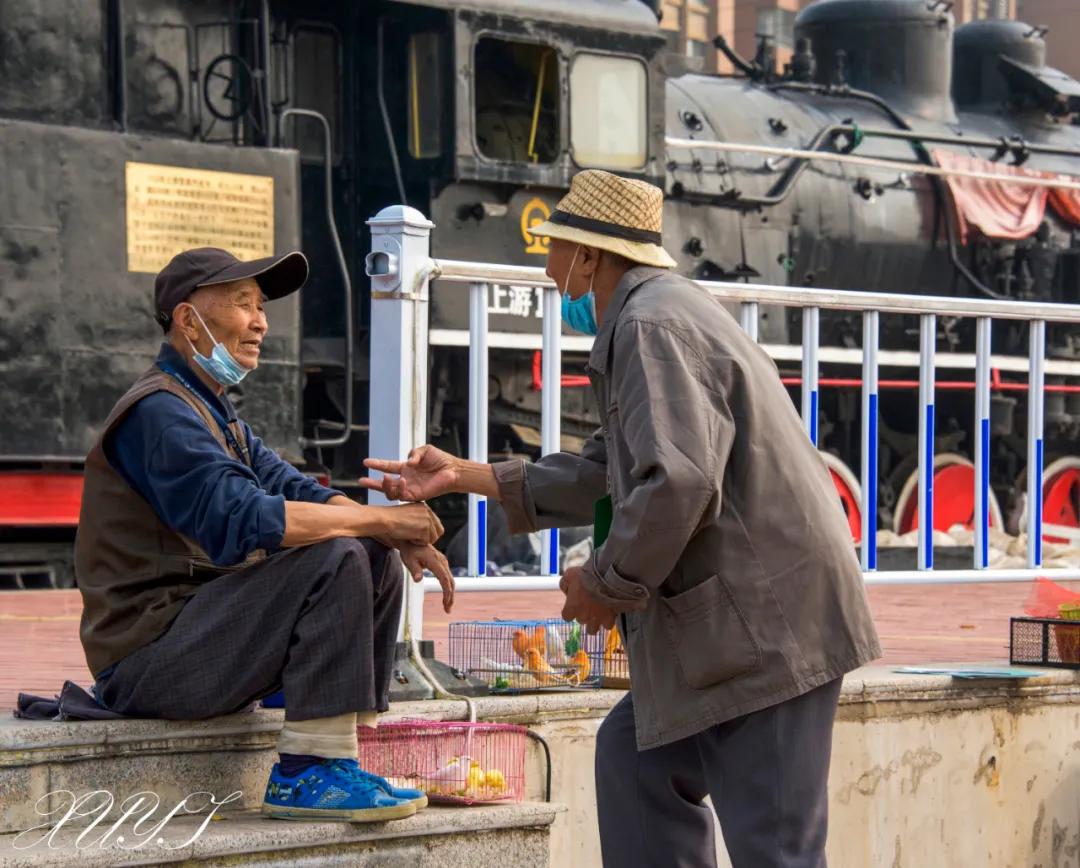 天津徐庄子宠物市场,天津北辰小街桥下宠物市场
