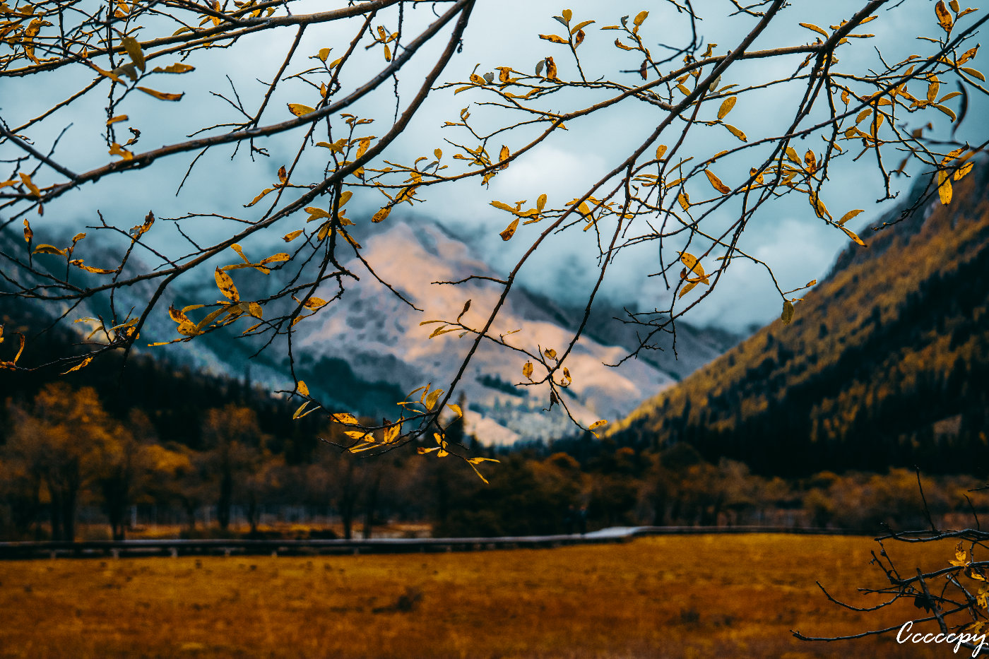 试驾新款高尔夫1.4t手动挡,试驾高尔夫1.4t高功率