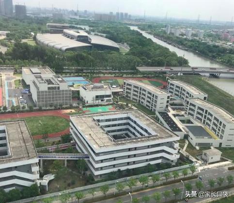 上海公办黑马小学,上海小学排名榜最新的学校