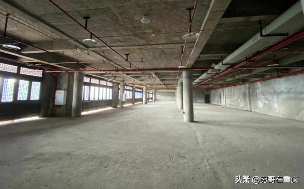 巴南龙洲最新降价消息,巴南龙洲水岸拍卖