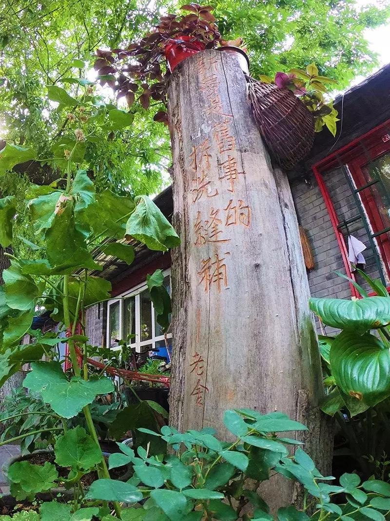 胡同里的日常生活,胡同里的北京生活