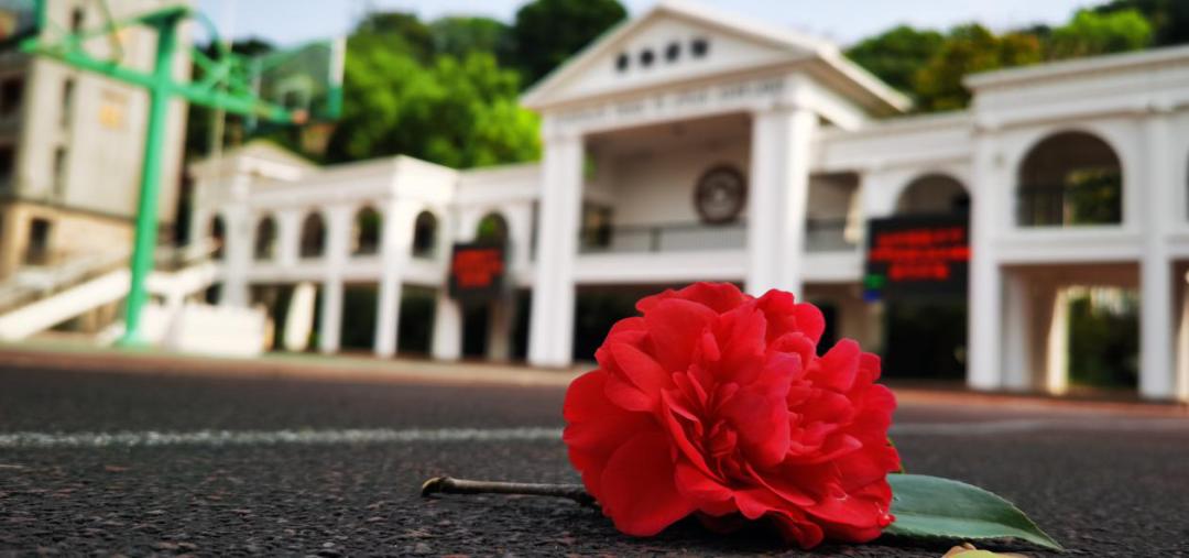 2022福州格致中学高考平均分,福州格致中学本一率