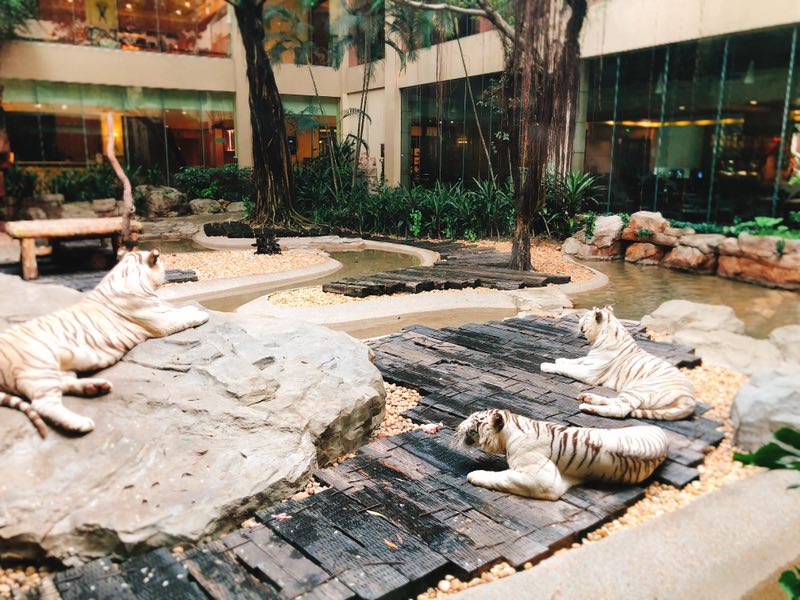 2-3天短途亲子游广东长隆,一家三口广州长隆旅游攻略