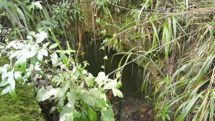 黔南第一山在什么地方,黔南第一山在哪里