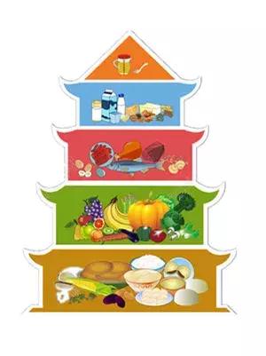 碳水化合物和肥胖有什么关系,我们为什么会一直胖下去