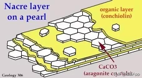 美白保湿的珍珠粉哪种比较好,十几块钱珍珠粉靠谱吗