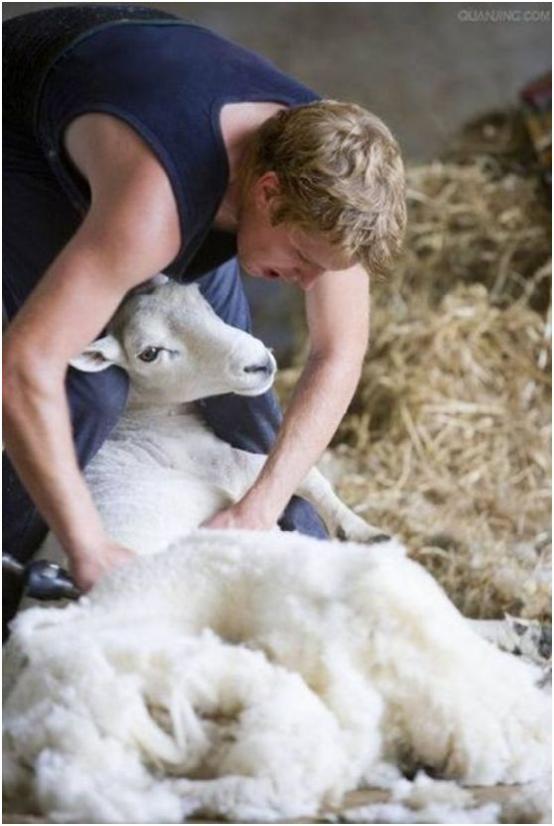 治沙对策和措施,治沙的最好办法