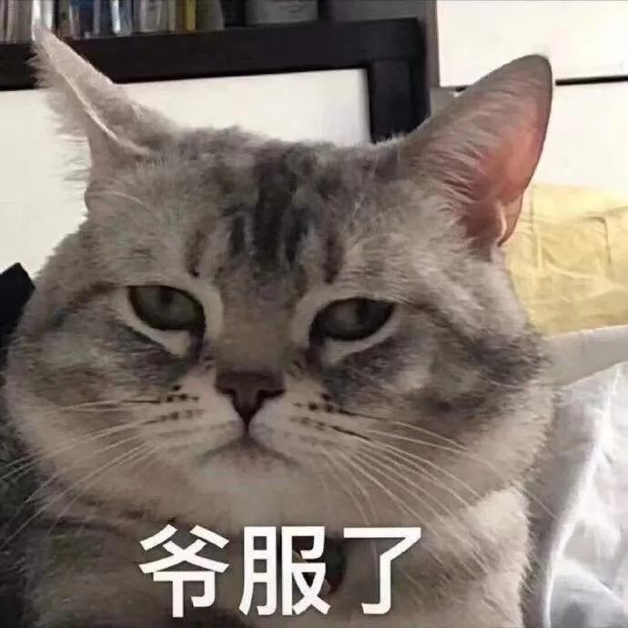 日本飞机头橡皮擦,飞机头橡皮擦日本