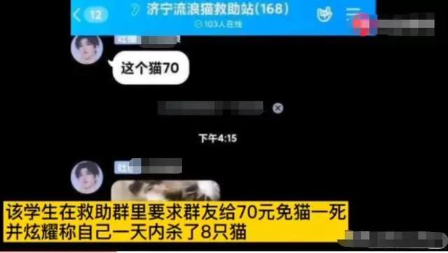 我为什么劝你别学医,在宿舍养猫很后悔