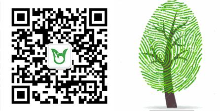 广州华附体育特长生招生条件,广州招收体育特长生的高中