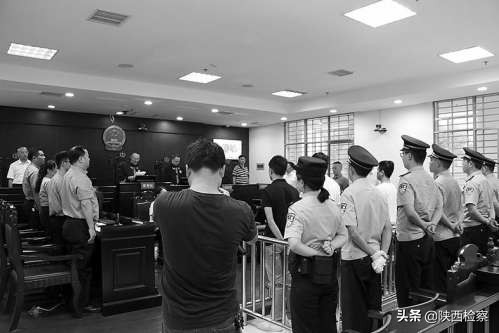 多名野猪横穿太平洋,野猪被拦腰斩断