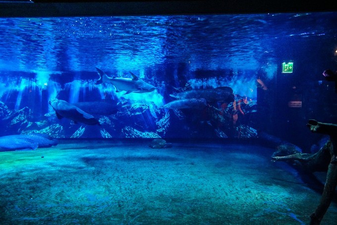 去韩国必买清单,韩国购物攻略衣服