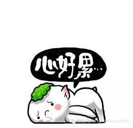 心累身体累呼吸也累,心累身累要怎么安慰