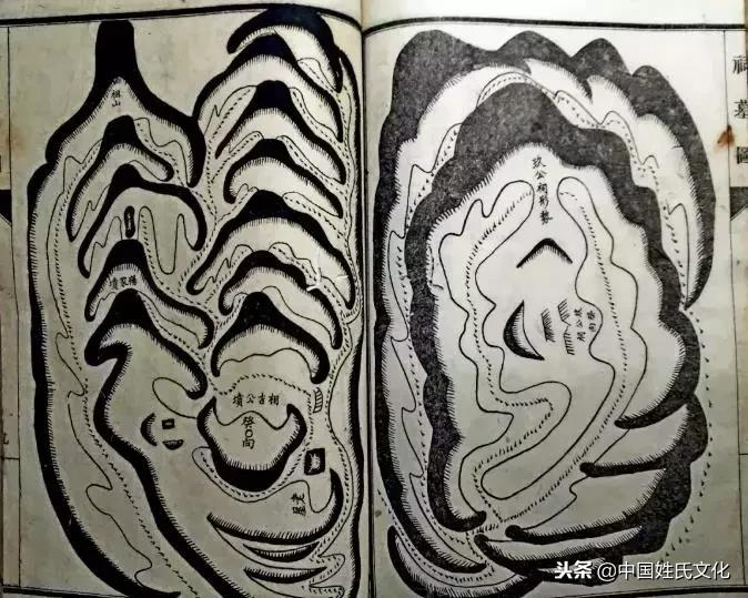 家谱关系图近代,家谱记载内容