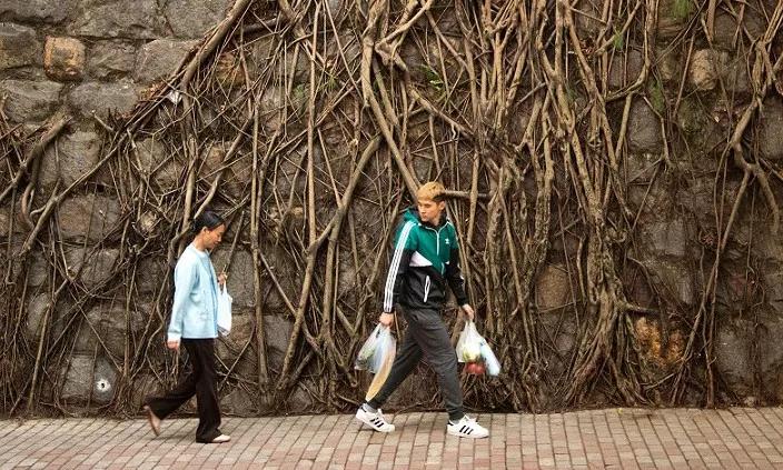 12岁少年弑母与北大孝子杀母,北大孝子杀母的背后