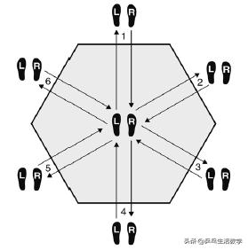 锻炼敏捷性,速度敏捷性和力量训练