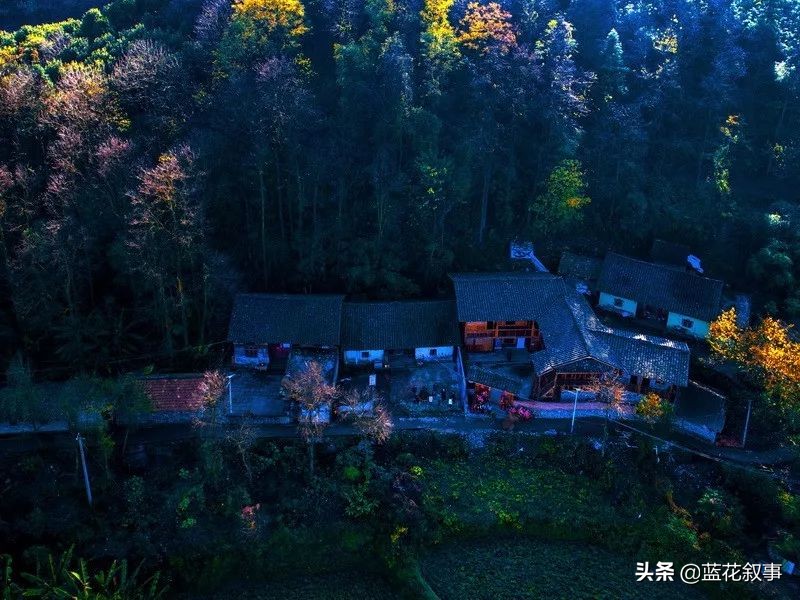 从一种现象到文化未来蓝花叙事生活小馆开馆两周年嘉宾寄语