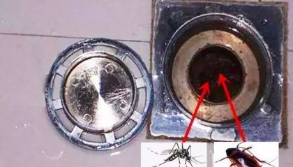 家里窗户都关着蚊子怎么进来的,家里关着纱窗为什么还有蚊子