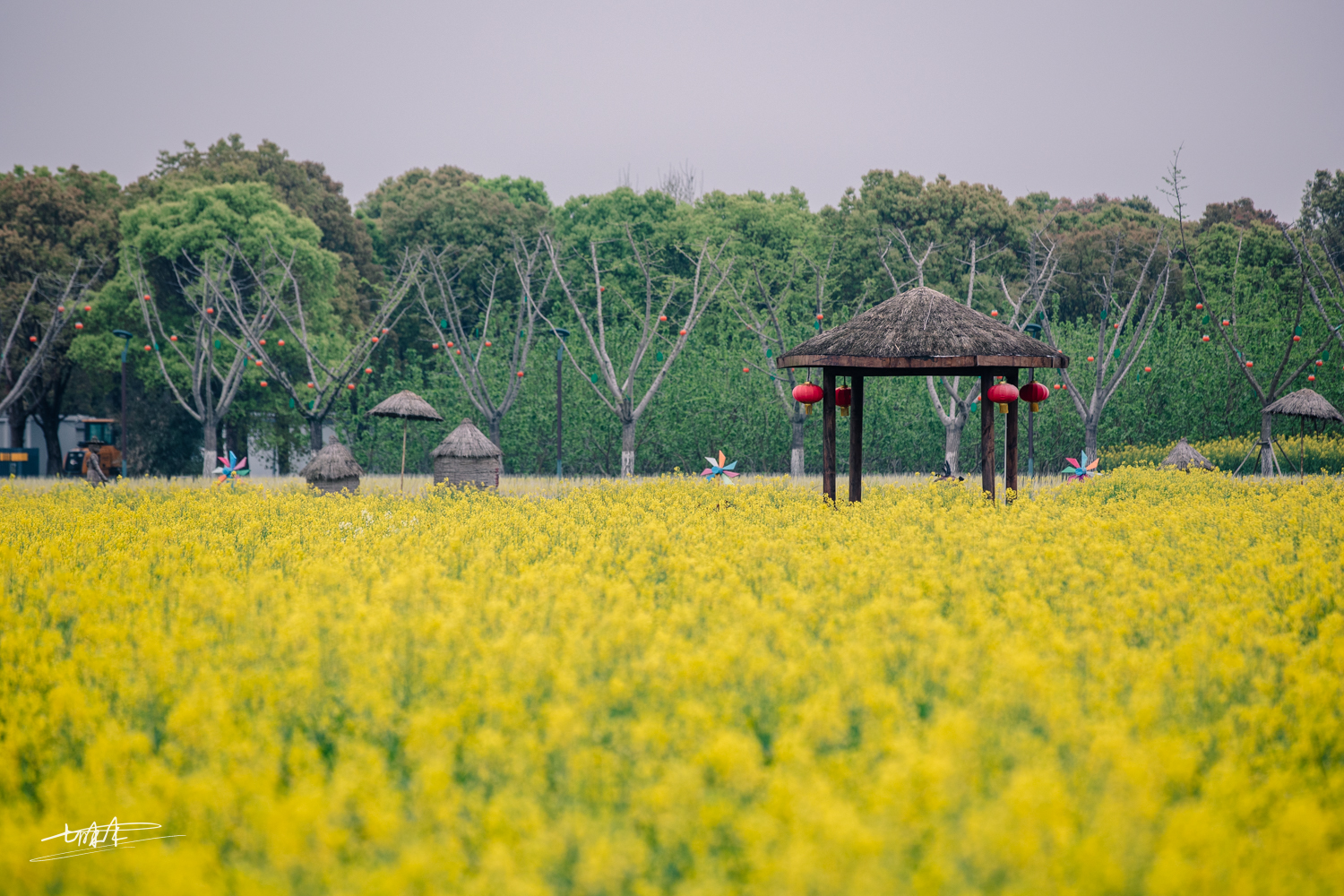 梦里水乡乌镇周庄风景视频,周庄版梦里水乡