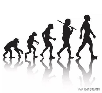 漫谈数系的发展,说明数系的历史发展过程