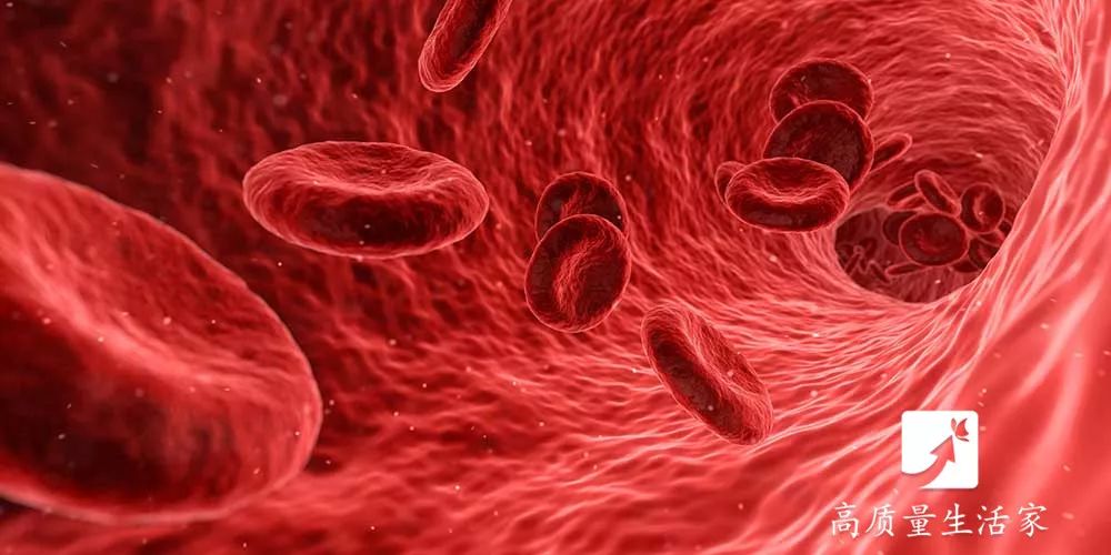 4个信号说明你的血液“粘如浆糊”！化血栓、防心梗吃它最管用