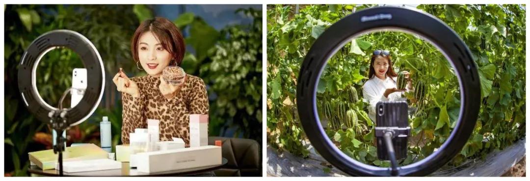 双十一倒计时|直播带货教你完胜对手,稳赚出圈