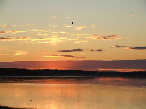 平水韵全部韵律表,平水韵表二个字