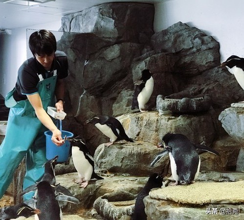 大阪亲子遛娃好去处,大阪自由行儿童购物攻略