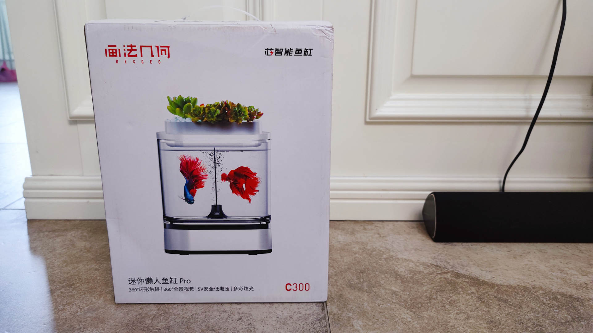 透明小型鱼缸可以养鱼吗,小型鱼缸养鱼知识