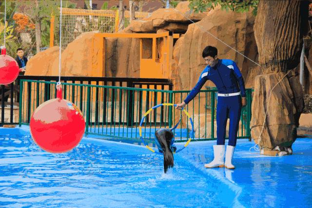 厦门马戏城灵玲酒店,厦门灵玲马戏酒店套票