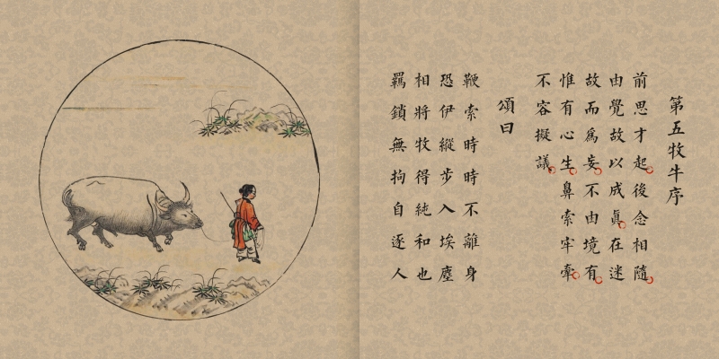 画说百年喜迎新春绘画,画说国学全套