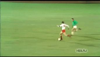 箭逐云鸿落鹰随月兔飞什么意思,箭逐云