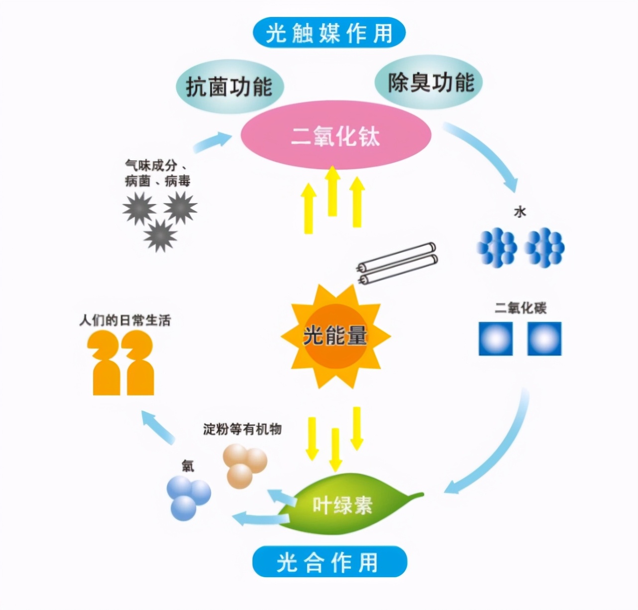 除甲醛最有效方法总结,除甲醛创业优劣势