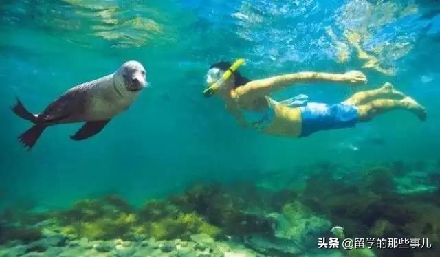 澳大利亚有哪些旅游胜地,澳大利亚有什么好玩的免费景点