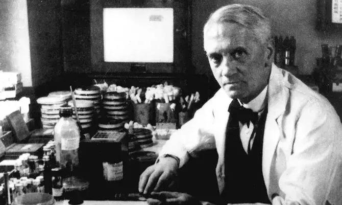 维生素c与免疫力之间的关系,维生素c增强免疫力怎么吃效果好