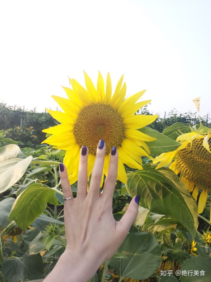 最新好物分享美食推荐,推荐好物少女心爆棚美食