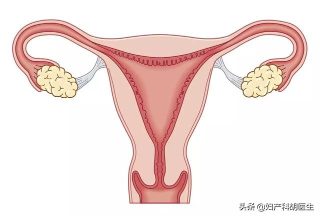 怀孕生产麻烦多？医生说，好处也不少，这些你都了解吗