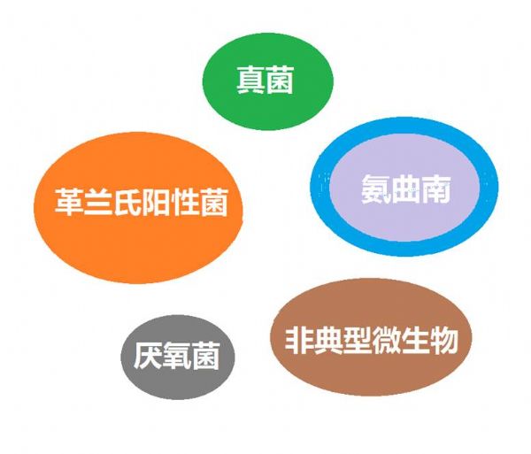 看图“话”抗菌谱，赶紧收藏