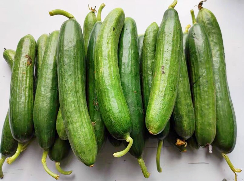 豆角和什么菜包饺子好吃,夏天用它包饺子比韭菜豆角鲜