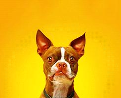 毛里求斯攻略完整版,毛里求斯落地签证