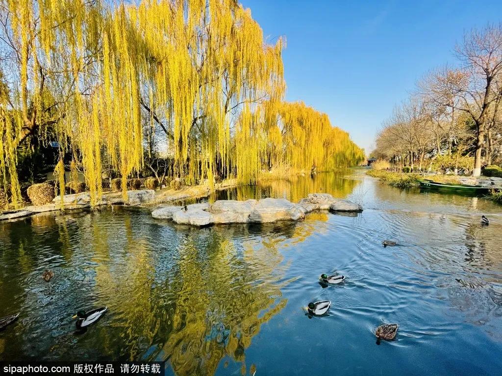 藏不住了!北京这些地方即将美出天际,你居然不知道?