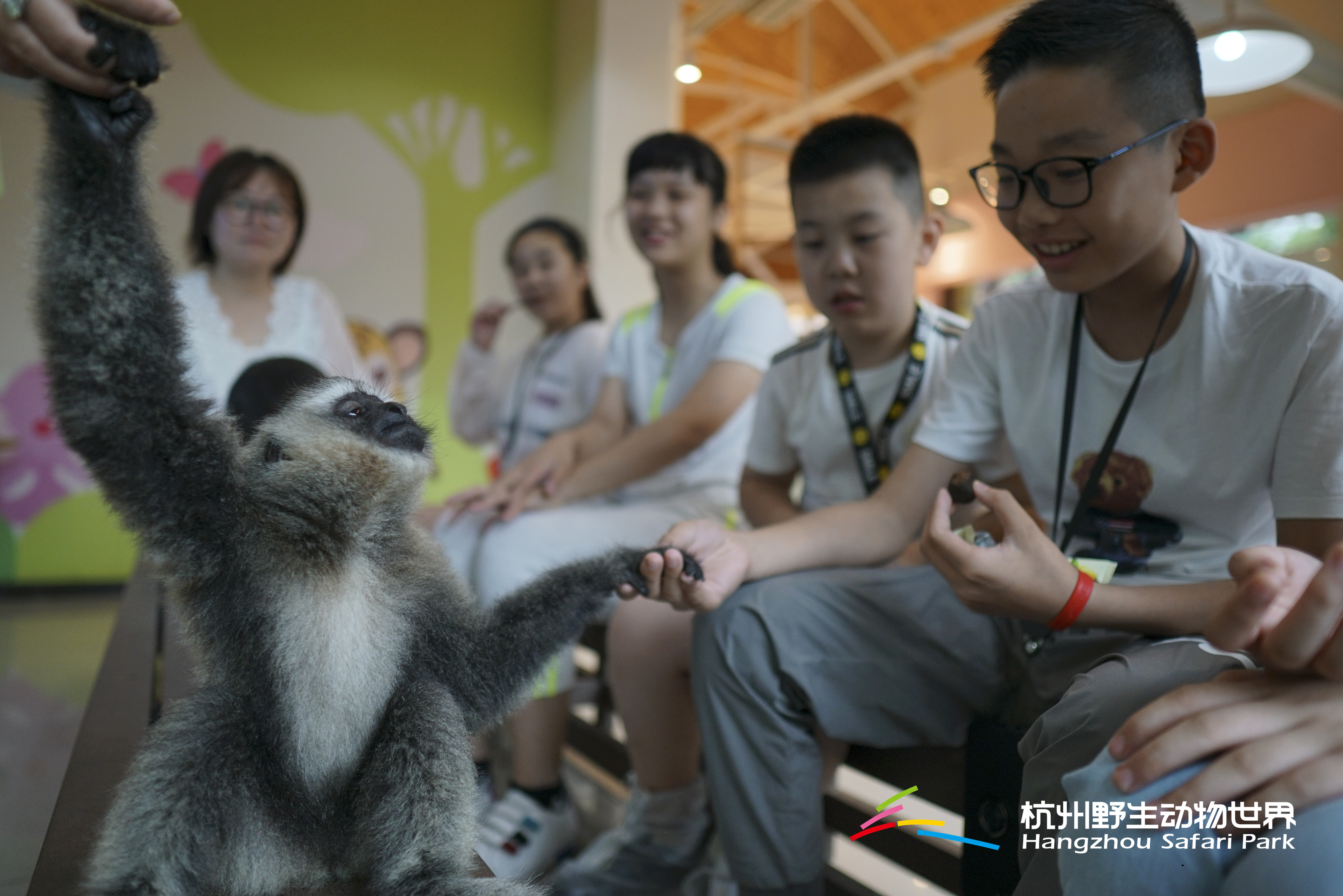 长臂猿女生,长臂猿女孩